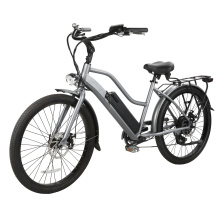 Beach Cruiser Electric Bicycle with 250W Rear Motor